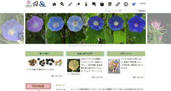 Desktop Screenshot of mg.biology.kyushu-u.ac.jp